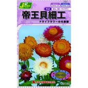 KS150シリーズ [帝王貝細工 ドライフラワーの代表種 草花150 757]