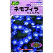 KS150シリーズ [ネモフィラ インシグニスブルー 草花150 760]