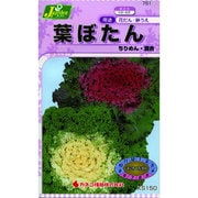 KS150シリーズ [葉ぼたん ちりめん 混合 草花150 761]