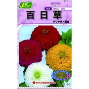 KS150シリーズ [百日草 ダリヤ咲 混合 草花150 771]