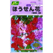 KS150シリーズ [ほうせん花 八重椿咲 混合 草花150 776]