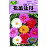 KS150シリーズ [松葉牡丹 八重咲 混合 草花150 777]