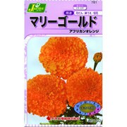 KS150シリーズ [マリーゴールド アフリカンオレンジ 草花150 781]