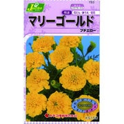 KS150シリーズ [マリーゴールド プチエロー 草花150 783]
