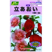 KS150シリーズ [立あおい 八重咲 混合 草花150 788]