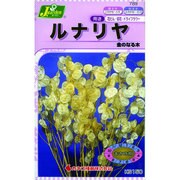 KS150シリーズ [ルナリヤ 金のなる木 草花150 789]