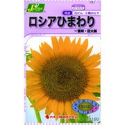 KS150シリーズ [ロシアひまわり 一重咲 巨大輪 草花150 791]