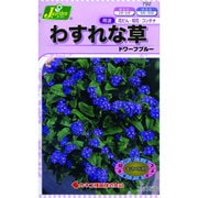 KS150シリーズ [わすれな草 ドワーフブルー 草花150 792]