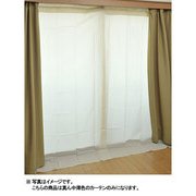 断熱断冷カーテン（幅110高さ225cm 2枚組） ベージュ WPC-L(BE)