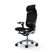 コンテッサメッシュ座 大型HR付 可動肘 CM91AB FBH1