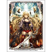 ビジュアルスリーブコレクションVol.12 モンスター・コレクションTCG『魔剣姫ドラジェ-弐ノ封印解除-』 [スリーブ]