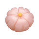 和菓子マグネット・桜