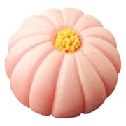 和菓子マグネット・菊