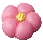 和菓子マグネット・梅