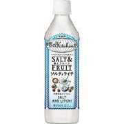 世界のKitchenから ソルティライチ [果実飲料 500ml×24本]