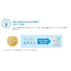 ヨドバシ.com - 森永乳業 はぐくみ 森永はぐくみ 大缶 800g×2缶