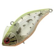 108427 [マッジーバイブダッシュ #107 REF.チャートバックバス]