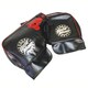 PHC-BK 306-00021