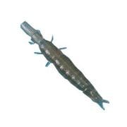 441104 [110 クロカワムシ(大) クリアブラウンゴールドF]