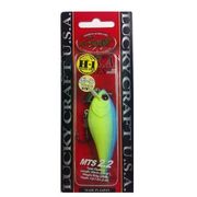 213573 [LC MTS 2.2 マットブルーバックチャート(ボーン)]