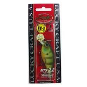 213597 [LC MTS 2.2 雌ギル(ボーン)]