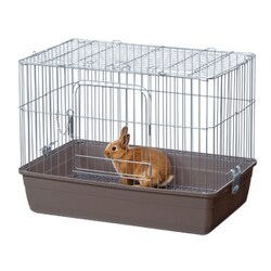 うさぎが上手に飼えるリビングルームL