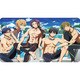 Free！ ラバーマットＢ [B3]