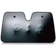 RCSS-002 [CAR SUNSHADE 叫び]