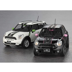 美品★★★ ハセガワ 1/24 ミニ クロスオーバー&quot;レイ &quot; 20262 19 Amazon | ハセガワ 1/24 ミニ クロスオーバー