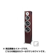 サテンホワイト スピーカー ペア Excite X38-SW