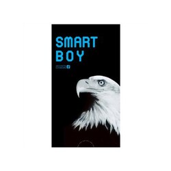 スマートボーイ 12個入り