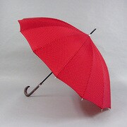 ポリエステル 水玉 55cm ジャンプ傘 16本骨 ワイン [001771332-水玉 ワイン]