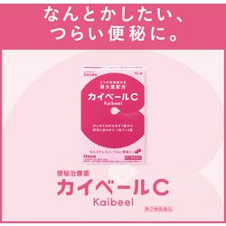 ヨドバシ.com - アラクス ARAX カイベールC 96錠 [指定第2類