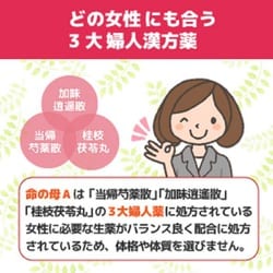 ヨドバシ.com - 小林製薬 女性保健薬 命の母A 840錠 [第2類医薬品 婦人