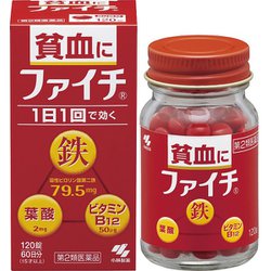 B12本、160×15その他 - その他