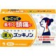 漢方ズッキノン 14包 内容量：7日分 [第2類医薬品 漢方薬・生薬]