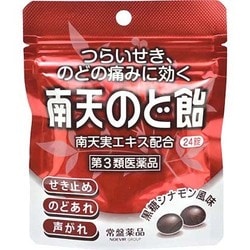 ヨドバシ Com 常盤薬品 南天のど飴 パウチ 24錠 第3類医薬品 のど飴