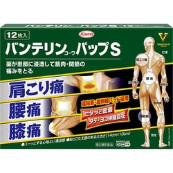 バンテリンコーワパップS 12枚 [第2類医薬品 冷湿布 ※セルフメディケーション税制対象商品]