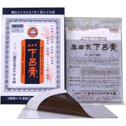 奥田家下呂膏 20枚 [第3類医薬品 プラスター・テープ剤]
