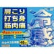 ホルキスS冷感 48枚 [第3類医薬品 冷湿布 ※セルフメディケーション税制対象商品]
