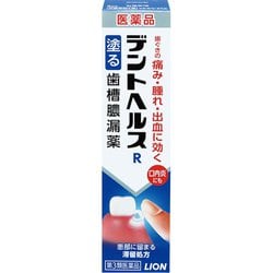 デントヘルスR 20g [第3類医薬品 歯周病]