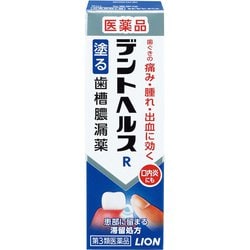 デントヘルスR 10g [第3類医薬品 歯周病]
