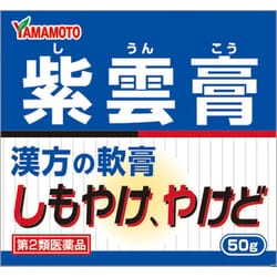 紫雲膏 ボトル 徳用 50g [第2類医薬品 皮膚用治療薬]