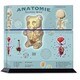 PS4 用スキンシール Gummi Anatomie [PlayStation4用アクセサリー]