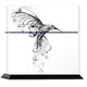 PS4 用スキンシール Hummingbird [PlayStation4用アクセサリー]