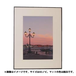 ホワイト フォトターミナル A3ノビ