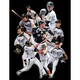 BBM阪神タイガース ベースボールカード2014 [トレーディングカード]