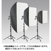 キミーラ プロバンク2 Lホワイト
