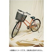 背景素材 モズリン 3m 巾×6m 長さ 薄手