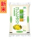 精米 千葉県産 コシヒカリ 5kg 令和7年産